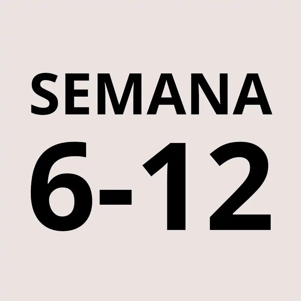 Una pantalla digital que indica ’SEMANA 6-12’ en texto negro sobre un fondo claro.